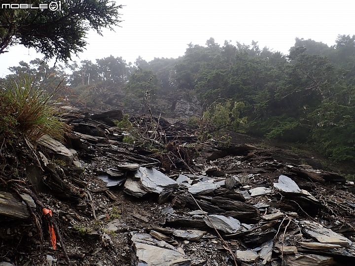 中央山脈大縱走17天(破紀錄)完百旅(904~920)(文長慎入)