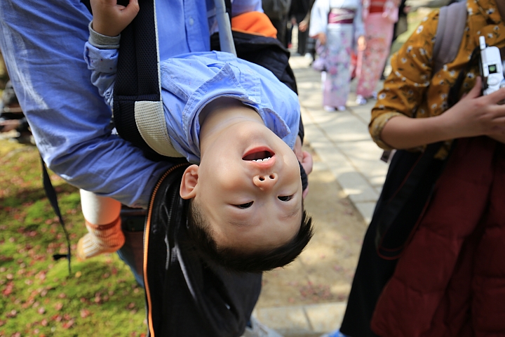2018京阪神紅葉親子自由行