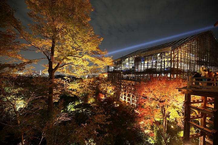 2018京阪神紅葉親子自由行