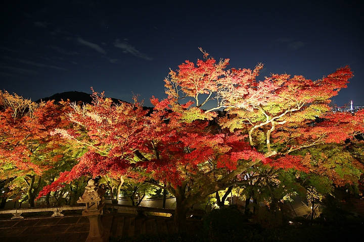 2018京阪神紅葉親子自由行