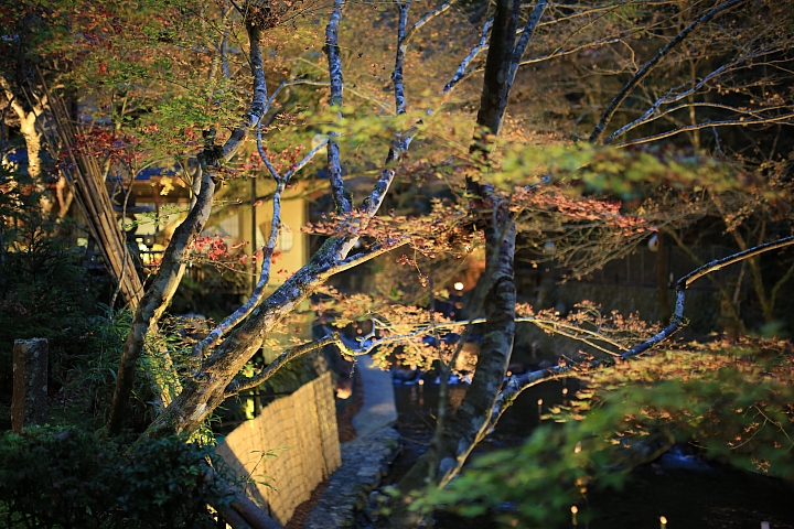 2018京阪神紅葉親子自由行