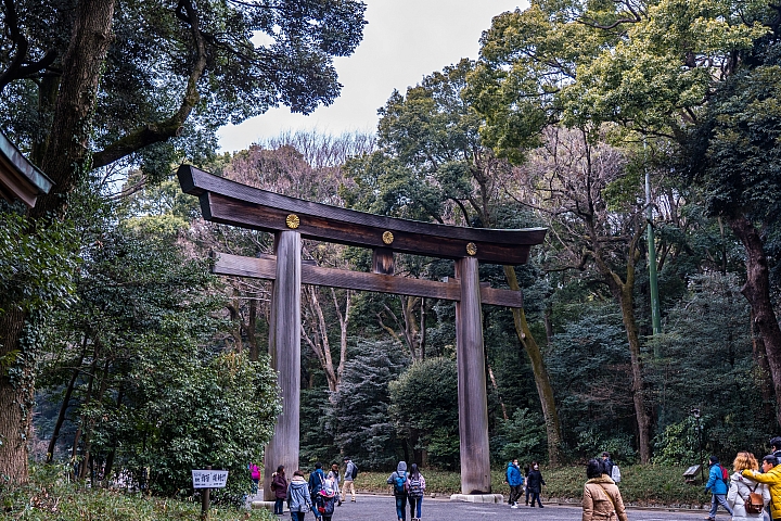 點我看大圖 2019 東京過年 (五天四夜行程分享) 文長圖多