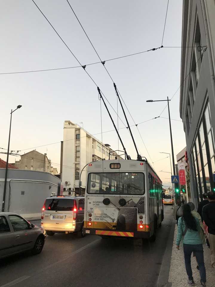 歐洲西海岸-葡萄牙之旅14日（跟著晴天法蘭去七桃）之中葡萄牙（阿維羅、科英布拉周邊）
