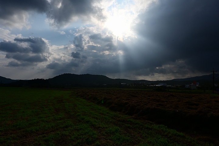 點我看大圖 Z7國慶鳥灰面鷲10月9日開始大量過境滿洲鄉里德村