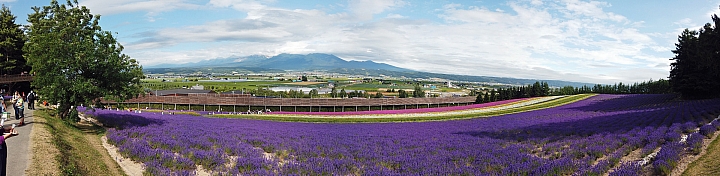 [6D+Osmo Pocket] 夏日北海道自由行Part 3--富良野 田園咖哩飯/富田農場/哈密瓜工房/KUMAGERA