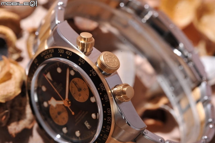 秋天的金色玫瑰—Tudor 79363 Black bay分享