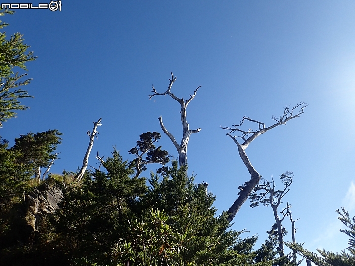 點我看大圖 2019.10.22-26.極限5天五嶽-限制超級健健腳高手