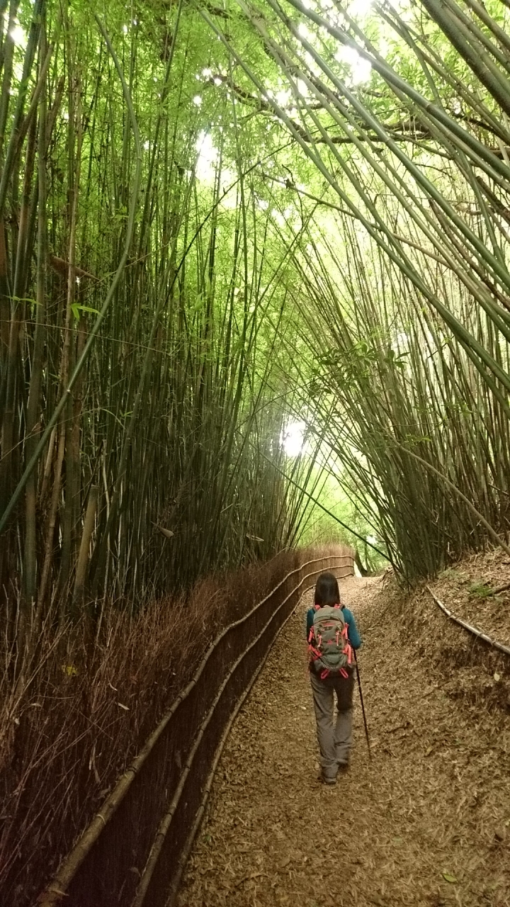 [樂山童盟] [台北北投] 紗帽山步道（橫嶺古道->公車總站->紗帽山）