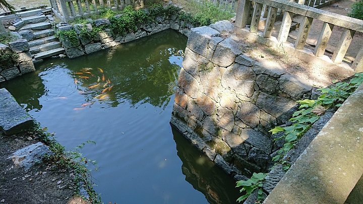 點我看大圖 九州行D2 老爸的兩天右駕體驗 是海邊!!!-----絲島市一日遊 feat. 手機&EOSM(上)