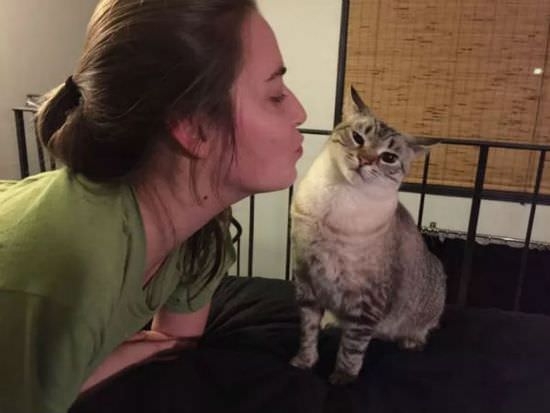 可愛動物圖分享