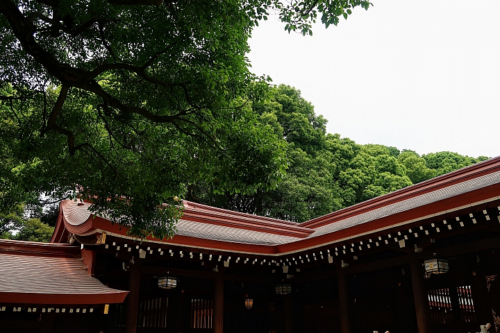 G7X2 東京都 + 近郊景點小旅行