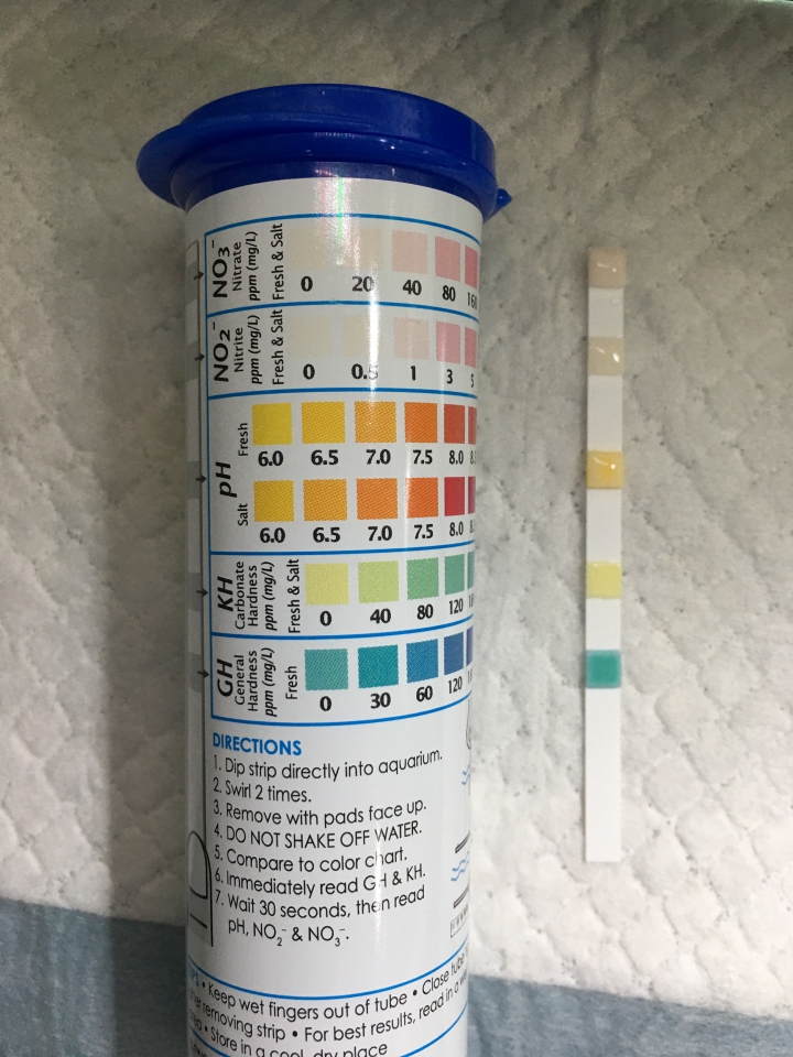 有養極火蝦的高手請益