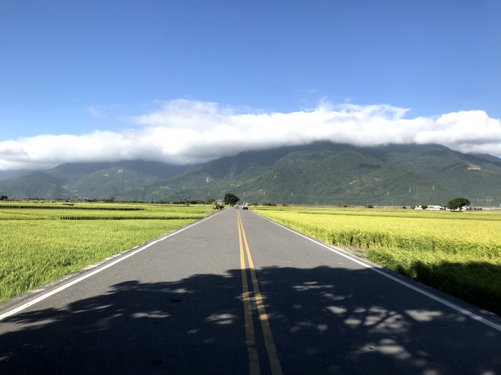 在美麗的稻田中...