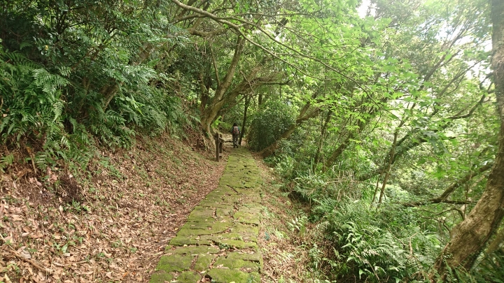 [樂山童盟] [台北北投] 紗帽山步道（橫嶺古道->公車總站->紗帽山）