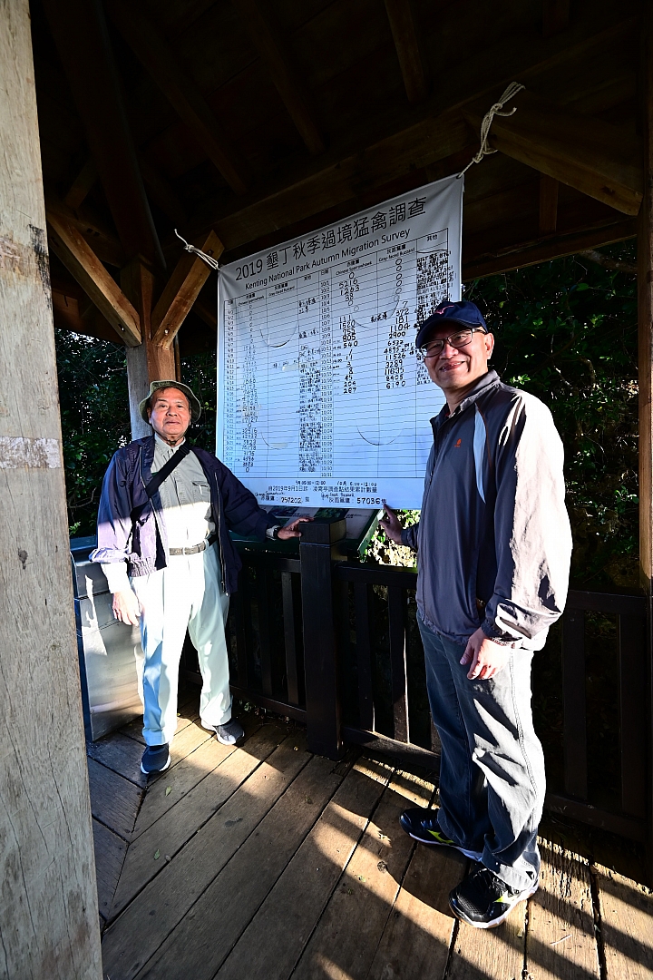 為拍灰面鷲與月亮同框，沒想到竟拍到有「夢幻鷹種」稱號的黑冠鵑隼。