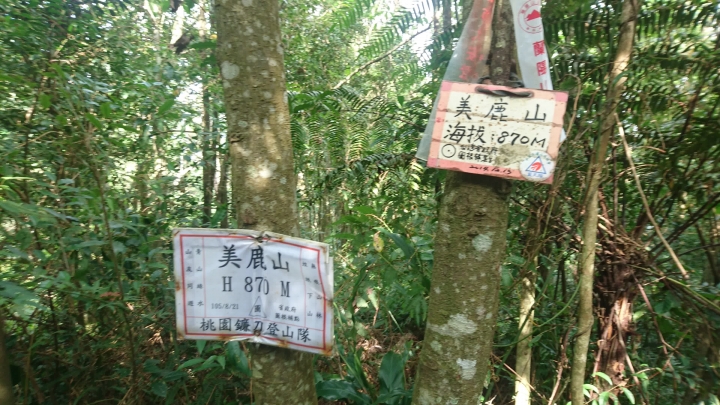 [樂山童盟] [新北烏來] 拔刀爾山步道（保慶宮-拔刀爾山-高腰山-美鹿山)