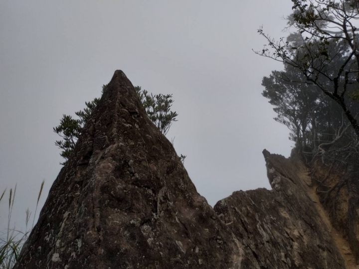 尖石鄉三大神木群步道，北得拉曼山