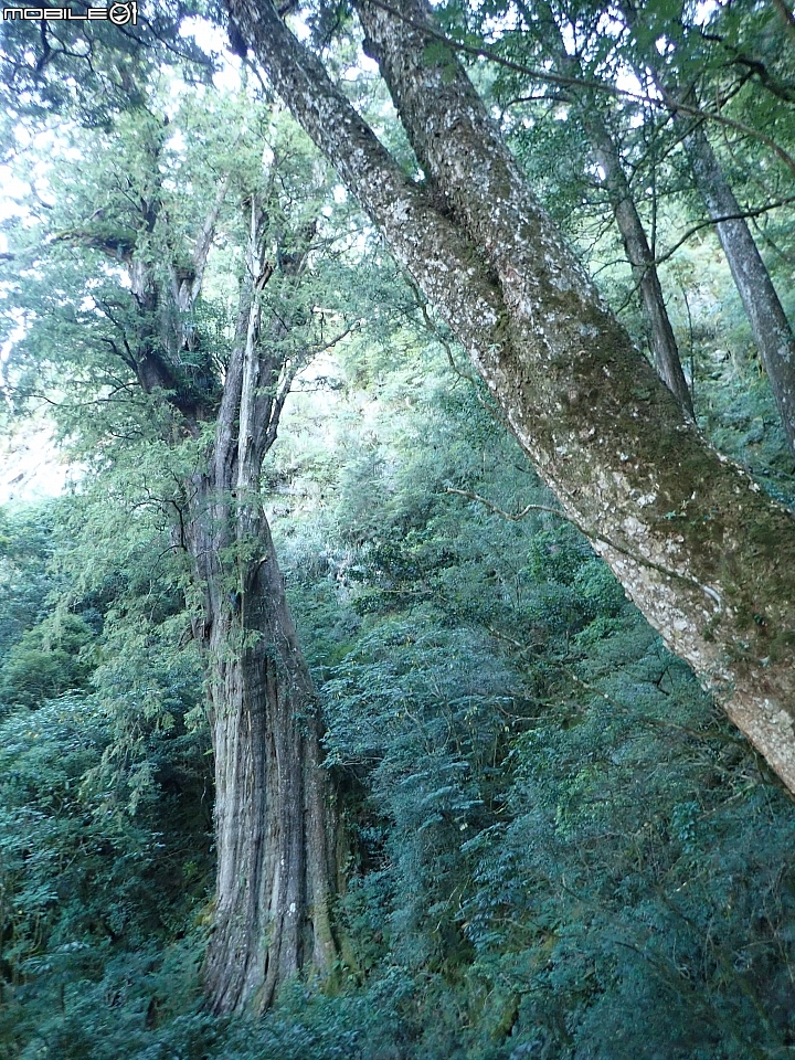 點我看大圖 2019.10.22-26.極限5天五嶽-限制超級健健腳高手