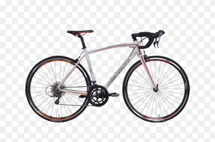 斯特拉92與HASA R4 新手購入公路車