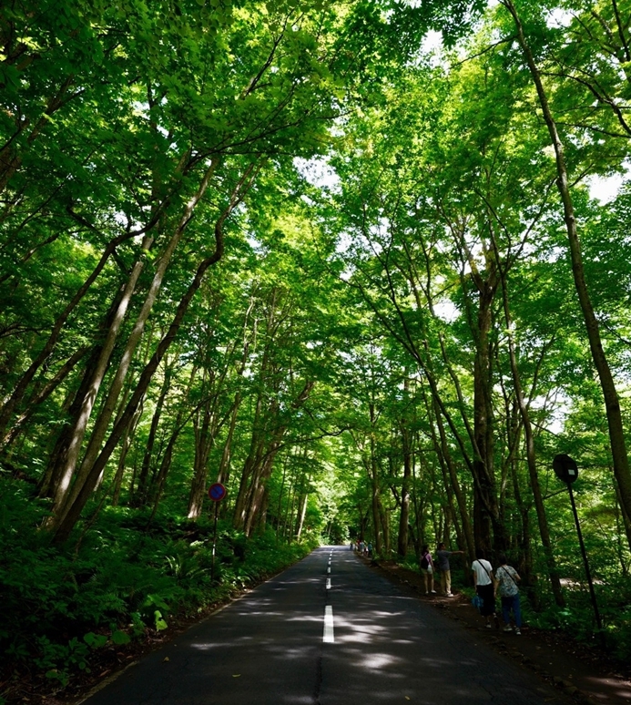 跟團上順旅遊心得-日本東北行（圖多