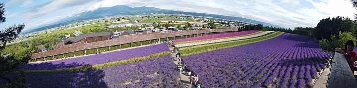 [6D+Osmo Pocket] 夏日北海道自由行Part 3--富良野 田園咖哩飯/富田農場/哈密瓜工房/KUMAGERA