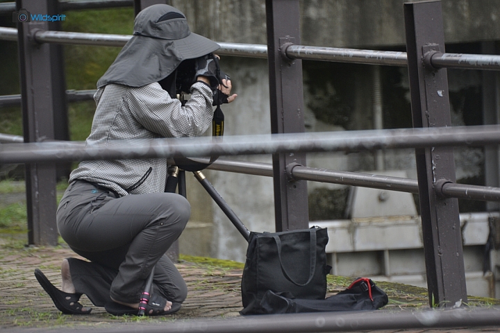 36年的反射鏡【SPIRATONE 300mm f/5.6 Minitel-S Plura-Coat】