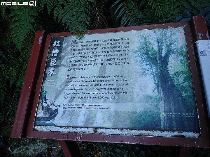 點我看大圖 2019.10.22-26.極限5天五嶽-限制超級健健腳高手
