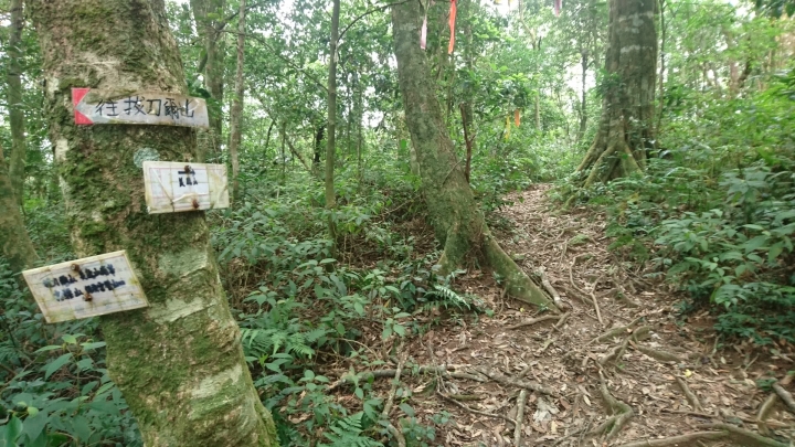 [樂山童盟] [新北烏來] 拔刀爾山步道（保慶宮-拔刀爾山-高腰山-美鹿山)