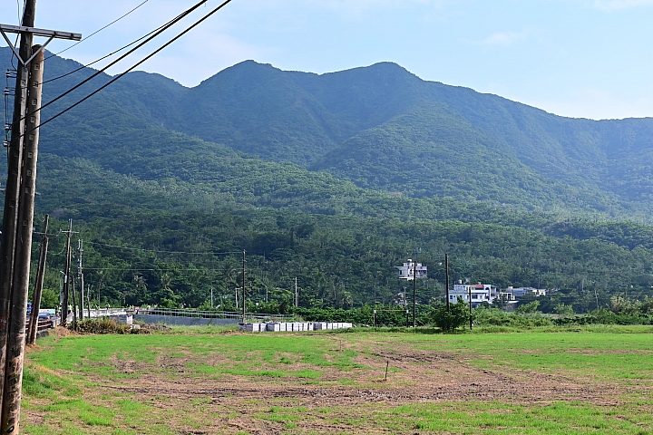 點我看大圖 Z7國慶鳥灰面鷲10月9日開始大量過境滿洲鄉里德村