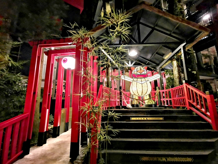 M20p拍照