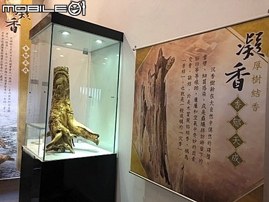 不為人知的摘星基地_摘星山莊