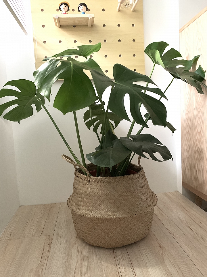 【開箱】首購舊屋翻新 北歐舒適的溫馨小窩-新北