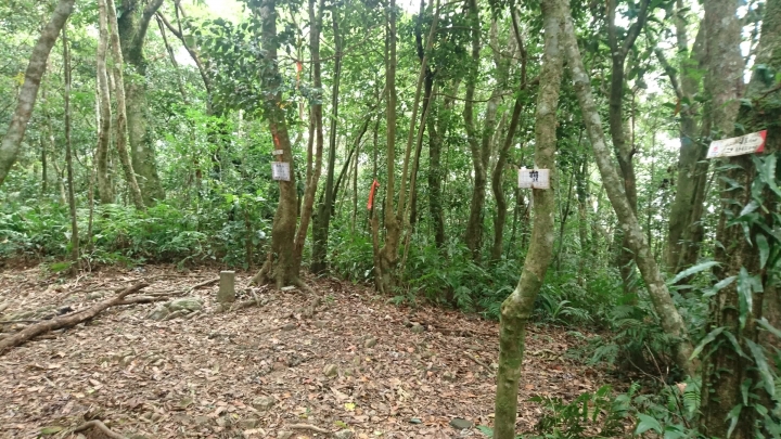 [樂山童盟] [新北烏來] 拔刀爾山步道（保慶宮-拔刀爾山-高腰山-美鹿山)