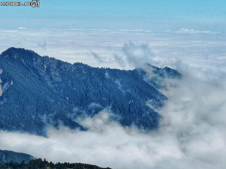 合歡山小溪營地初體驗