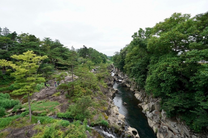 跟團上順旅遊心得-日本東北行（圖多