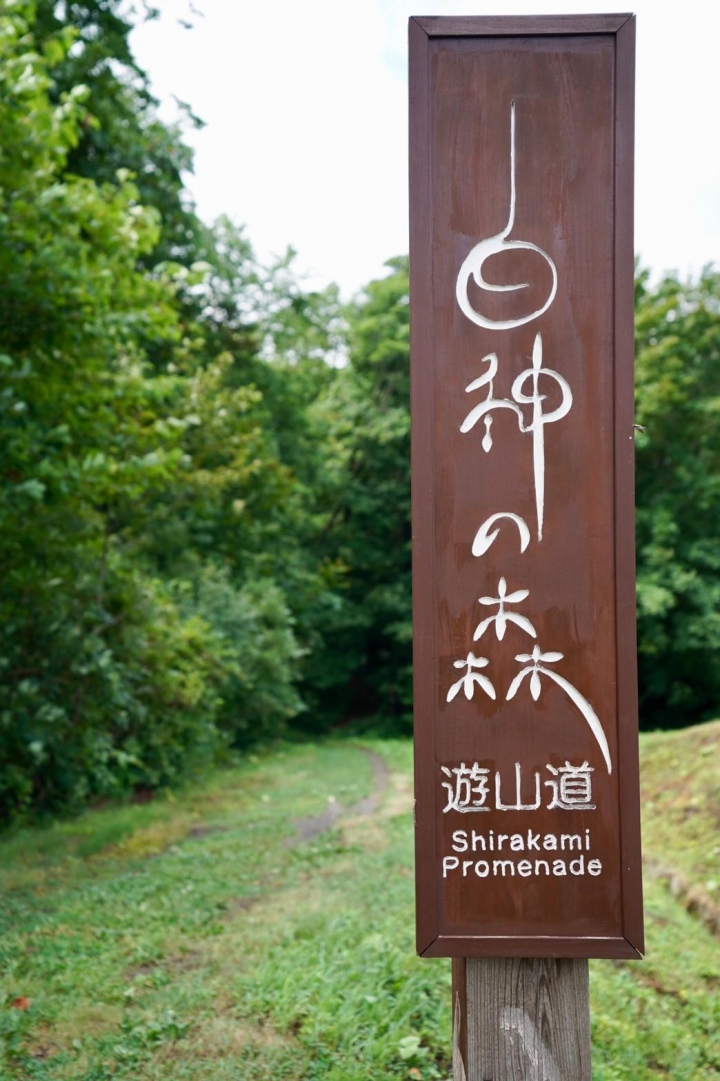 跟團上順旅遊心得-日本東北行（圖多