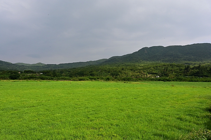 點我看大圖 Z7國慶鳥灰面鷲10月9日開始大量過境滿洲鄉里德村