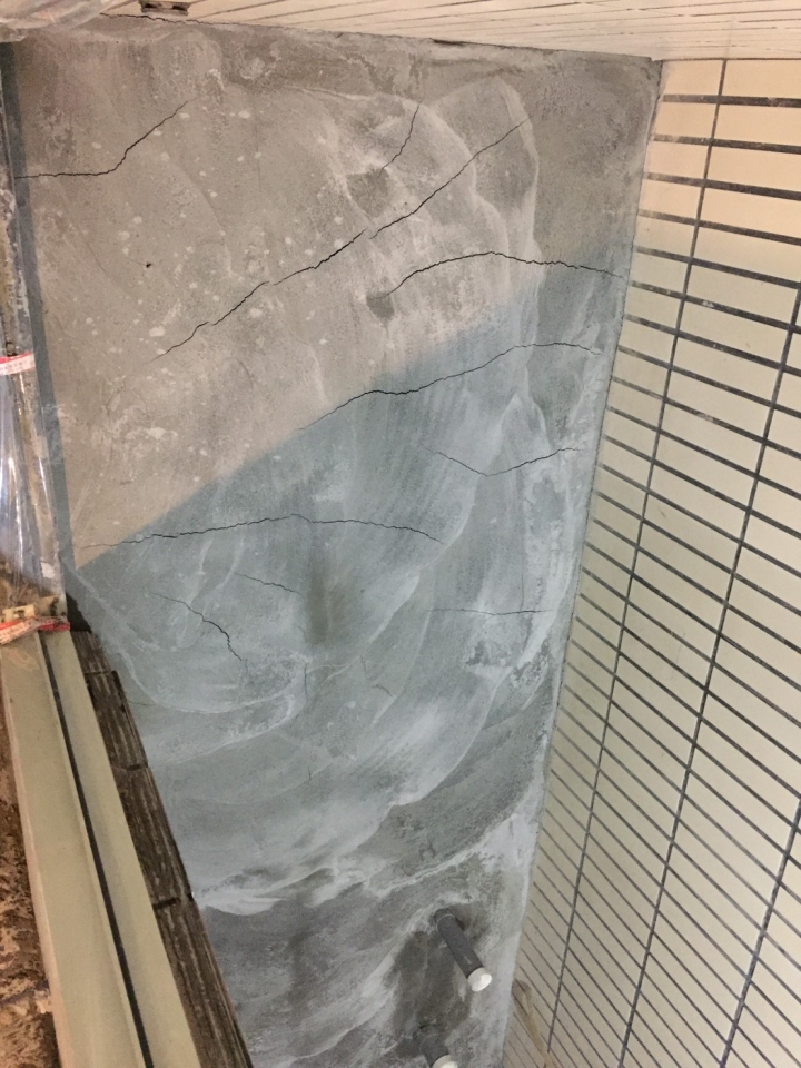 (求救專業)裝潢進入敷水泥 防水漆 陽台  裂開