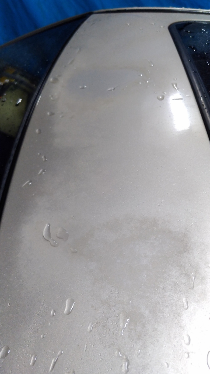 請問車頂掉漆or金油層脫落，如何處理