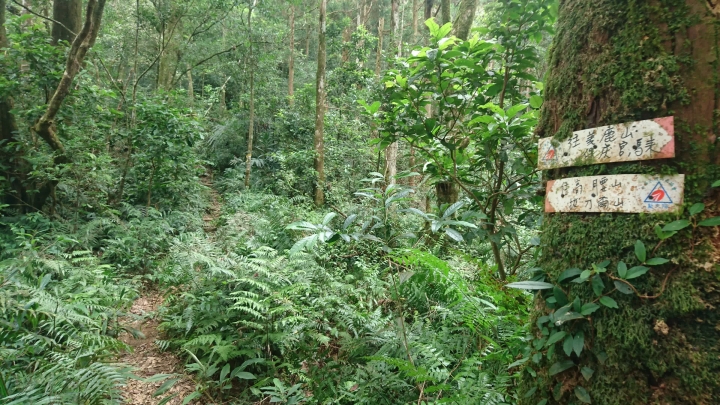 [樂山童盟] [新北烏來] 拔刀爾山步道（保慶宮-拔刀爾山-高腰山-美鹿山)