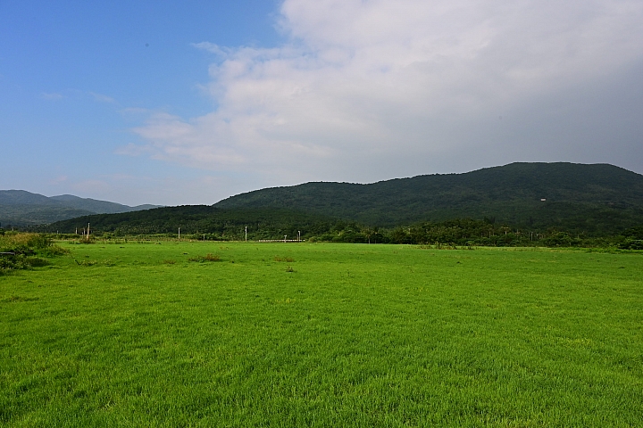 點我看大圖 Z7國慶鳥灰面鷲10月9日開始大量過境滿洲鄉里德村