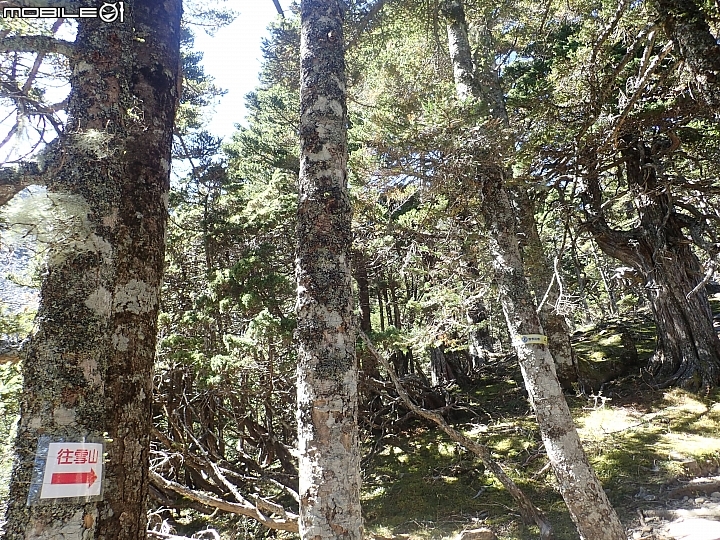 點我看大圖 2019.10.22-26.極限5天五嶽-限制超級健健腳高手