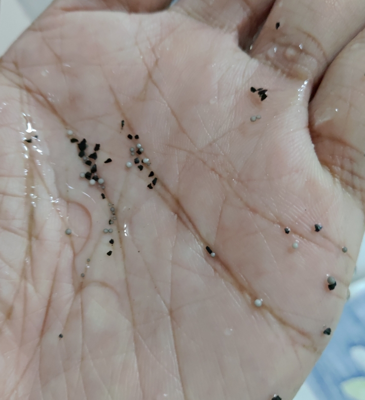 3M濾水壺的濾芯品質爛透了