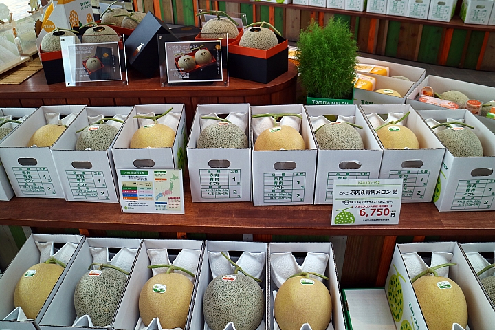 [6D+Osmo Pocket] 夏日北海道自由行Part 3--富良野 田園咖哩飯/富田農場/哈密瓜工房/KUMAGERA