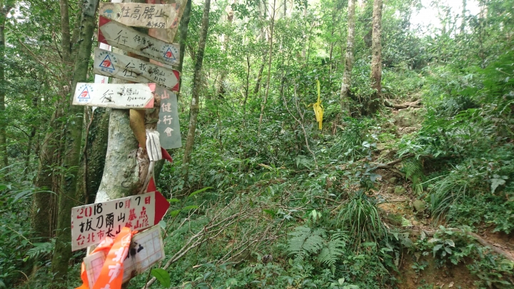[樂山童盟] [新北烏來] 拔刀爾山步道（保慶宮-拔刀爾山-高腰山-美鹿山)