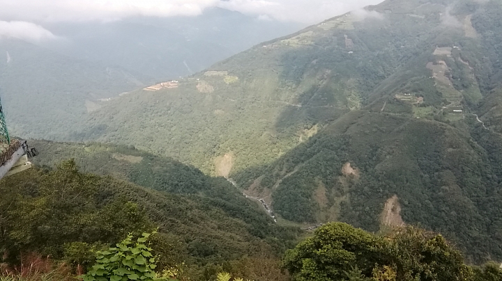觀霧森林檜木巨木群步道