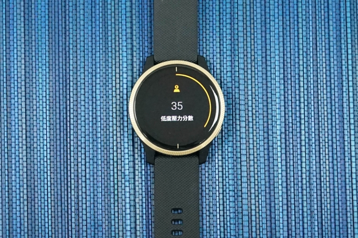Garmin Venu AMOLED GPS 智慧腕錶開箱實測 品牌旗下最細緻螢幕降臨！