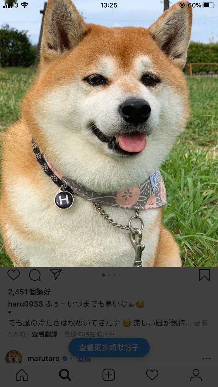 自從8plus升上IOS13之後遇到的問題