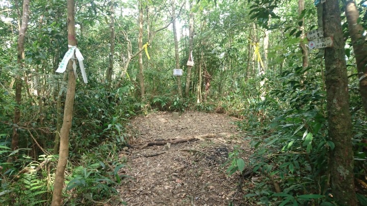 [樂山童盟] [新北烏來] 拔刀爾山步道（保慶宮-拔刀爾山-高腰山-美鹿山)