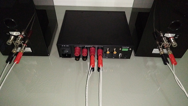 (遲來開箱文)Nupirme IDA-6，一個也能搞bi-wiring的迷你綜擴